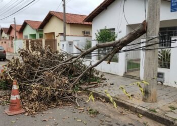 Equipe da prefeitura realiza a poda das árvores da rua, deixa uma pilha de galhos pesados sobre a calçada por duas semanas e um vendaval arremessa a madeira contra o padrão de energia de uma residência