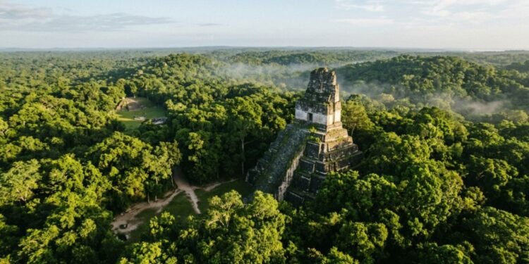 O detalhe é que todas essas estruturas monumentais estavam cobertas por uma camada muito espessa de floresta intocada e de difícil acesso
