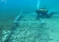 Cientistas encontram estrada de 7 mil anos escondida no fundo do mar e descoberta surpreende arqueólogos
