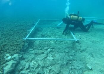 Cientistas encontram estrada de 7 mil anos escondida no fundo do mar e descoberta surpreende arqueólogos
