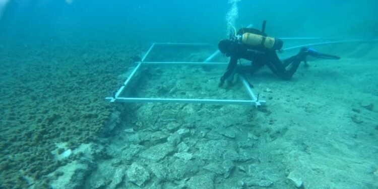 A estrutura de pedra ficava a quase cinco metros de profundidade sob uma camada pesada de barro acumulado no leito. - Créditos: Sveučilište u Zadru/Reprodução/Facebook