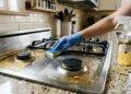 Vinagre com louro na cozinha: veja o truque simples para afastar formigas e deixar tudo limpo