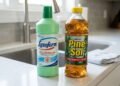 Lysoform ou Pinho Sol: qual desinfetante protege mais a sua casa e elimina mais germes