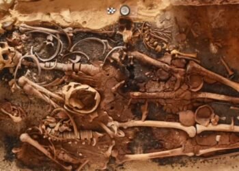 Arqueólogos encontraram línguas de ouro em tumbas egípcias e revelaram um ritual de 2 mil anos