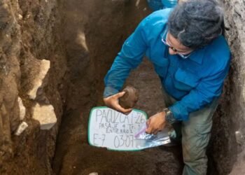 Arqueólogos encontram corpo de 2.800 anos intacto sob uma camada de cinzas vulcânicas segurando um casco de tartaruga