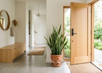 Onde colocar a espada-de-são-jorge em julho para proteger a sua casa e atrair prosperidade, de acordo com o Feng Shui