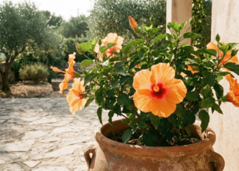 As plantas floridas que transformam sua varanda em um refúgio para passarinhos todos os dias