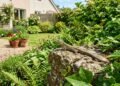 Muitas pessoas se assustam, mas esse visitante do muro pode indicar que seu jardim está em boas condições