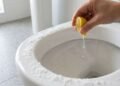 Colocar limão no vaso com sal grosso no sanitário antes de dormir, quais os benefícios e para que serve