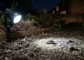 Estudo revela que luzes brancas de LED podem criar uma armadilha mortal para os pequenos animais do jardim