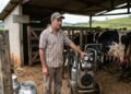 Pequeno produtor de leite investe R$ 18 mil em uma ordenhadeira mecânica seminova, o equipamento apresenta oscilação de vácuo no motor e causa infecção no rebanho, reduzindo a produção pela metade
