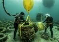 O maior erro ambiental dos anos 1970 começou com milhões de pneus jogados no mar