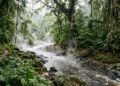 Águas misteriosas da Amazônia atingem temperaturas extremas e revelam segredo escondido no solo