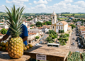 A Capital do Abacaxi produz 80% da safra mineira, colhe 9 milhões de frutos por ano e guarda uma história de 150 anos
