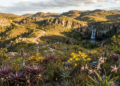 Um "Jardim do Brasil" com orquídeas, bromélias, canelas-de-ema e sempre-vivas, elogiado pelo famoso paisagista Burle Marx que encanta com 60 cachoeiras, 33.800 hectares e uma serra inteira rica em cores vibrantes de amarelo, roxo e vermelho, com um cenário fotografado por naturalistas do mundo inteiro