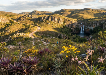 Um "Jardim do Brasil" com orquídeas, bromélias, canelas-de-ema e sempre-vivas, elogiado pelo famoso paisagista Burle Marx que encanta com 60 cachoeiras, 33.800 hectares e uma serra inteira rica em cores vibrantes de amarelo, roxo e vermelho, com um cenário fotografado por naturalistas do mundo inteiro