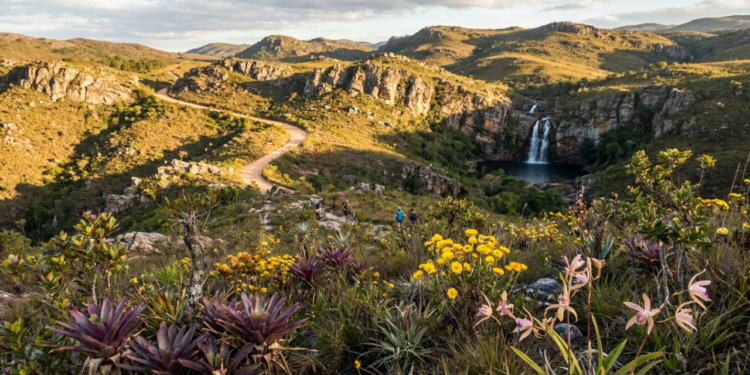 Um "Jardim do Brasil" com orquídeas, bromélias, canelas-de-ema e sempre-vivas, elogiado pelo famoso paisagista Burle Marx que encanta com 60 cachoeiras, 33.800 hectares e uma serra inteira rica em cores vibrantes de amarelo, roxo e vermelho, com um cenário fotografado por naturalistas do mundo inteiro