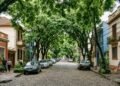 A rua brasileira que foi considerada a mais bonita do mundo forma um túnel verde com 156 árvores