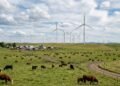 Um vaqueiro do Kansas instalou 50 turbinas eólicas em seu rancho de 7.000 acres e transformou o vento em sua fonte de renda mais confiável, vendendo eletricidade para milhares de residências.