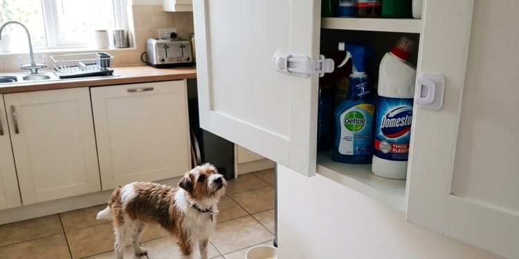 Ao lamberem os membros durante a higienização diária, cães e gatos ingerem essas substâncias corrosivas que provocam queimaduras graves na boca e no estômago.