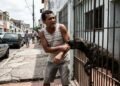 Cão de guarda morde pedestre pela grade da casa e dono é obrigado a pagar remédios e indenização