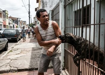 Cão de guarda morde pedestre pela grade da casa e dono é obrigado a pagar remédios e indenização