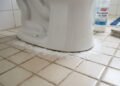 Especialistas recomendam colocar bicarbonato de sódio ao redor do vaso sanitário: entenda para que serve