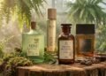 4 perfumes nacionais com cheiro de floresta para você se destacar e não usar os mesmos amadeirados de todo mundo, e o melhor, opções para diferentes bolsos