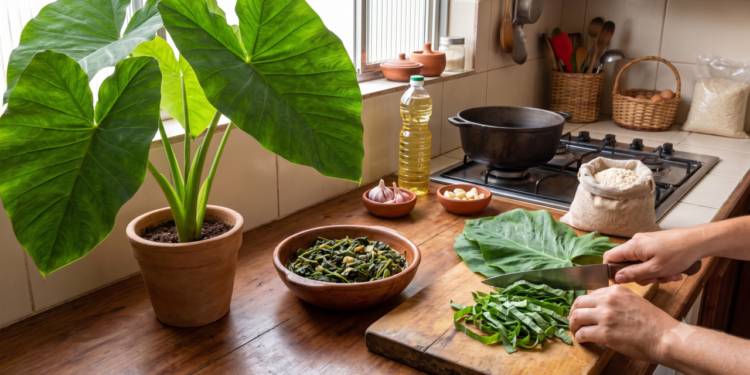 A folha mais esquecida da cozinha brasileira é uma das mais nutritivas, conheça a taioba e como preparar sem erro