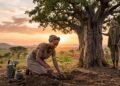Provérbio africano sobre o futuro: “A melhor época para plantar uma árvore foi há 20 anos, a segunda melhor é agora” e o que ele revela sobre decisões que só dão resultado muito depois