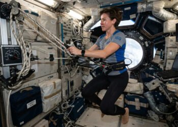 A microgravidade enfraquece os ossos no espaço, mas o problema pode continuar depois da volta à Terra