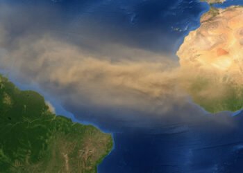 Cientistas revelaram conexão surpreendente entre a poeira do Saara e a floresta Amazônica