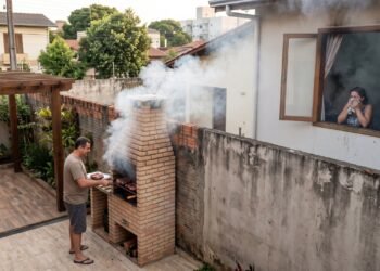 Morador constrói churrasqueira junto ao muro para aproveitar a área de lazer; a fumaça e a fuligem entram frequentemente pela janela do vizinho e deixam o cômodo ao lado impregnado de cheiro. A discussão pode terminar no Juizado Especial Cível