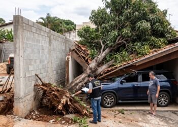Morador constrói muro de alvenaria de 3 metros na divisa sem consultar o vizinho e corta pela metade as raízes de uma mangueira de 40 anos; árvore desestabiliza, cai sobre a garagem vizinha e esmaga um SUV de R$ 160 mil; laudo pericial comprova imperícia na escavação e condena o construtor a indenizar o veículo e a reconstrução do telhado