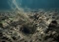 A evolução dos animais pode ter sido acelerada graças a pequenos buracos no fundo do mar — vermes antigos transformaram oceanos inteiros cavando a lama