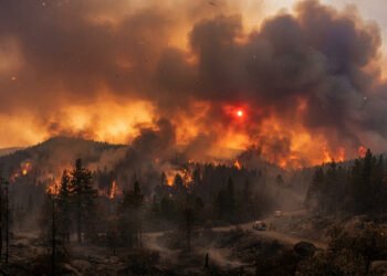 Pesquisadores descobrem como o carbono marrom influencia o céu alaranjado dos incêndios