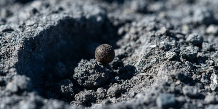Pesquisadores revelam que o fungo Aspergillus niger resiste às condições extremas simuladas na superfície lunar, e acende alerta entre cientistas sobre riscos que ele representa para o futuro das missões espaciais de longa duração