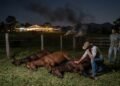 Um sítio alugado para festas promove um show pirotécnico extremamente barulhento. O pânico causado pelo barulho faz com que três cavalos de raça da fazenda vizinha (avaliados em R$ 150 mil) morram de parada cardíaca. O proprietário do sítio é obrigado a ressarcir o valor total dos animais por abuso do direito de vizinhança.