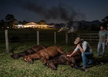 Um sítio alugado para festas promove um show pirotécnico extremamente barulhento. O pânico causado pelo barulho faz com que três cavalos de raça da fazenda vizinha (avaliados em R$ 150 mil) morram de parada cardíaca. O proprietário do sítio é obrigado a ressarcir o valor total dos animais por abuso do direito de vizinhança.