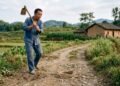 Provérbio chinês do dia: “Quem foi mordido por uma cobra teme uma corda por dez anos” e a reflexão sobre como experiências ruins alimentam nossos medos