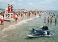 Uma criatura marinha gigante apareceu perto de uma praia de Nova York e surpreendeu banhistas