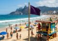 O que significa a bandeira roxa na praia e para que serve