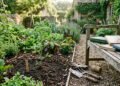 O significado do provérbio africano do dia: “O conhecimento é um jardim; se você não o cultivar, não poderá colhê-lo.”