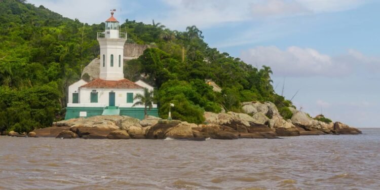 O Refúgio de Vida Silvestre Banhado dos Pachecos, em Viamão, é o único local do Rio Grande do Sul. / Créditos: depositphotos.com / lltrarbach