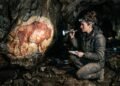 Cientistas analisam pinturas de 16 mil anos e descobrem regras secretas que mudam a história da humanidade
