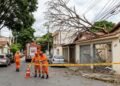 Morador solicita via canal de atendimento da Prefeitura a remoção de galhos secos de árvore em risco na calçada, o pedido é ignorado por 7 meses e o galho desaba sobre a fiação da rua, gerando um curto-circuito que queima a placa do portão e a geladeira da casa