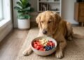 Especialista revela quais frutas cachorro pode comer e os cuidados para oferecer esses alimentos com segurança