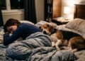 O que significa quando o cachorro dorme encostado no tutor