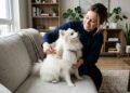 5 raças de cães fofinhos e peludos que podem deixar sua casa ainda mais adorável