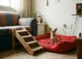 As raças de cães miniatura perfeitas para apartamentos pequenos